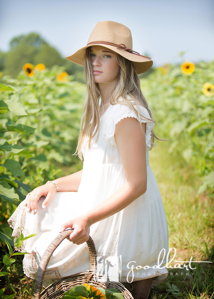 girl kneeling in sunflower fields