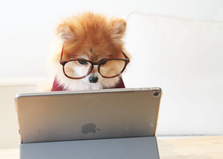 28 Day Blogging Challenge