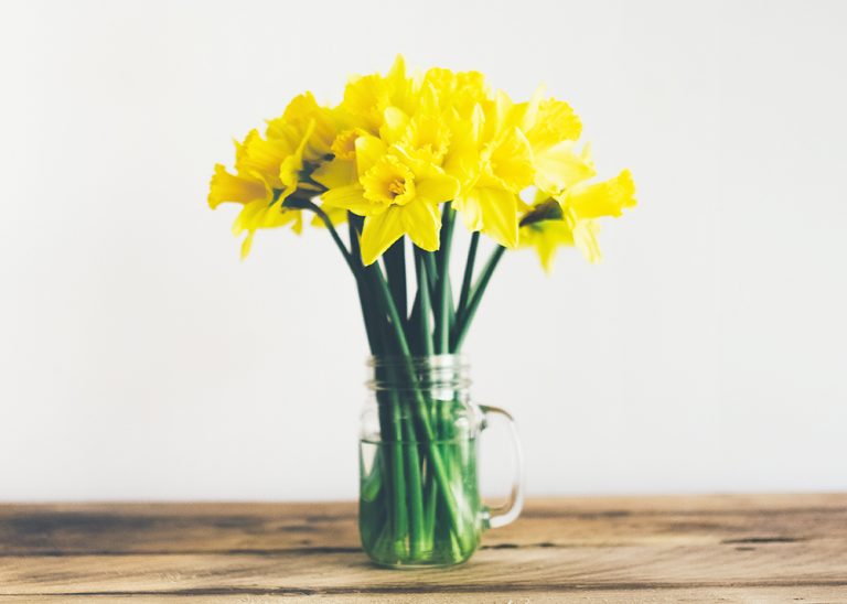 5 Reasons to Bring Flowers into Your Home