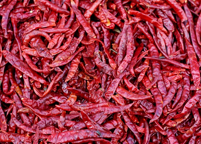 mindful photography color red peppers
