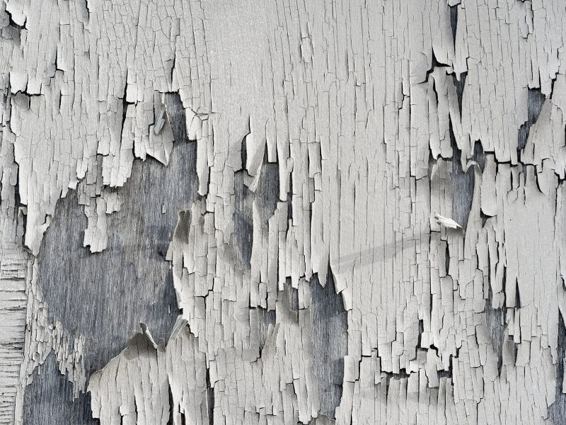 Photography Element of Composition: Texture - Goodhart