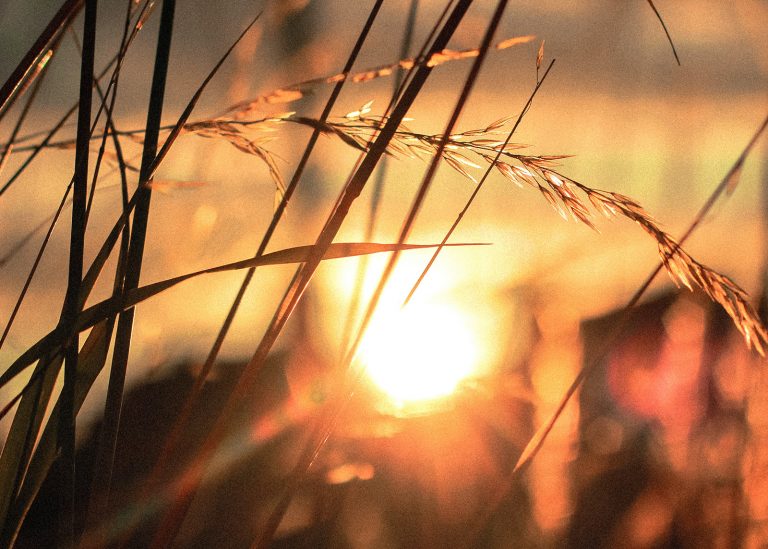 Conceptual Photo Challenge:  Photographing Hope